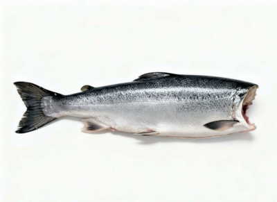 Горбуша БГ М