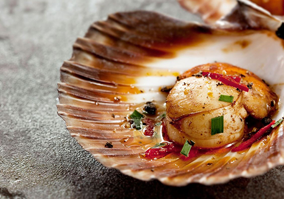 Морские гребешки Морские гребешки - статьи Атлант