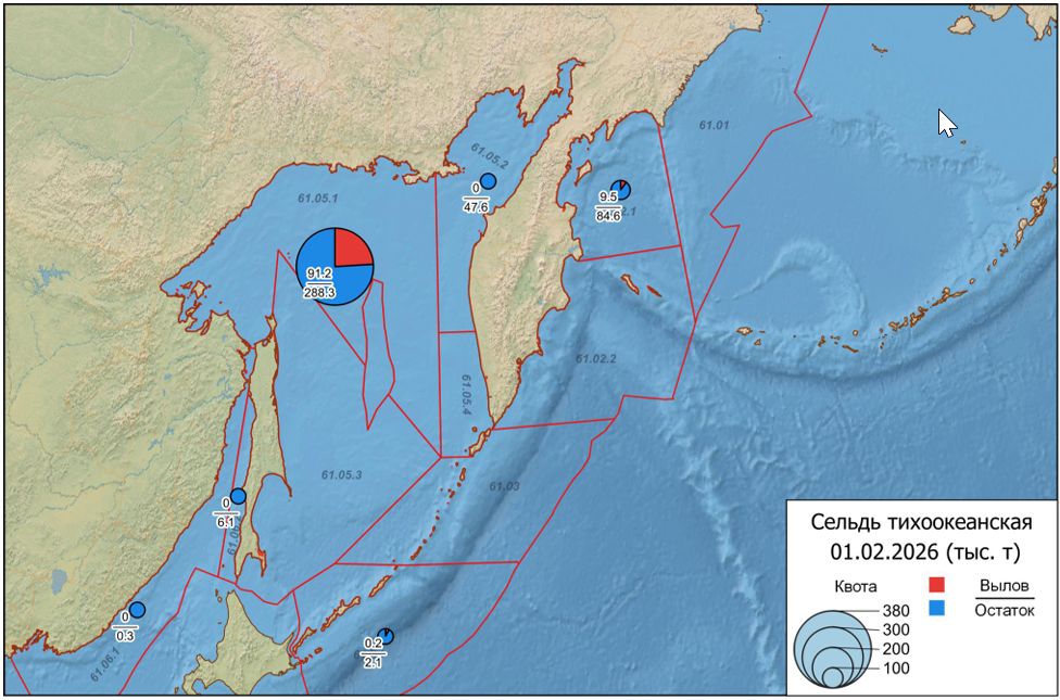Вылов сельди тихоокеанской в промысловых подзонах Дальневосточного рыбохозяйственного бассейна 1 февраля 2026 г.