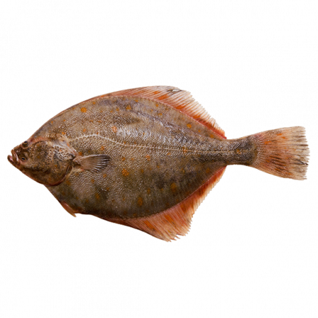 рыба камбала от производителя Атлант Фиш