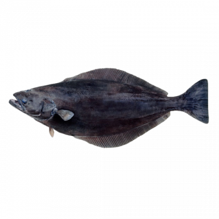 рыба палтус чёрный от производителя Атлант